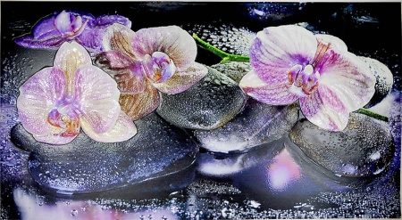 Фартук панно Орхидеи на камне 602*1002
